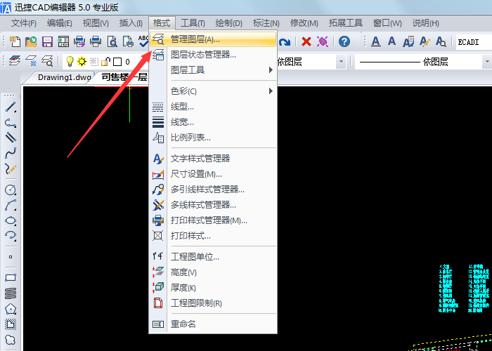 執(zhí)行【格式】-【管理圖層】
