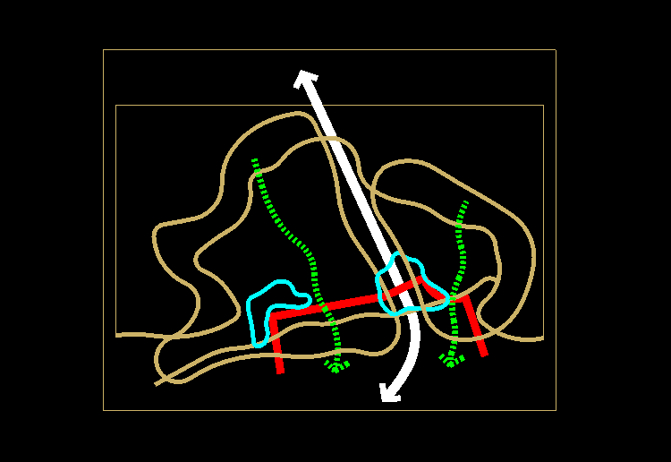 特色別墅中式住宅CAD建筑設(shè)計(jì)方案