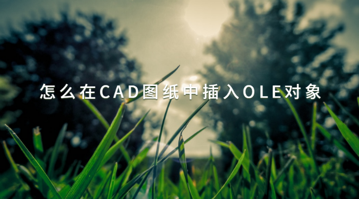 怎么在CAD圖紙中插入OLE對象
